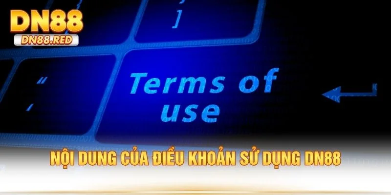 Nội dung của điều khoản sử dụng DN88
