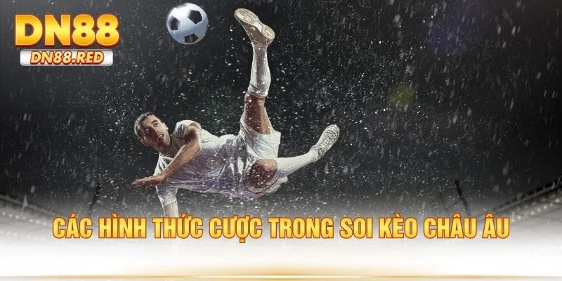 Các hình thức cược trong soi kèo châu Âu